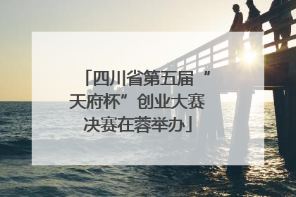 四川省第五届“天府杯”创业大赛决赛在蓉举办