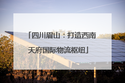 四川眉山：打造西南天府国际物流枢纽