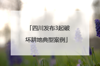 四川发布3起破坏耕地典型案例