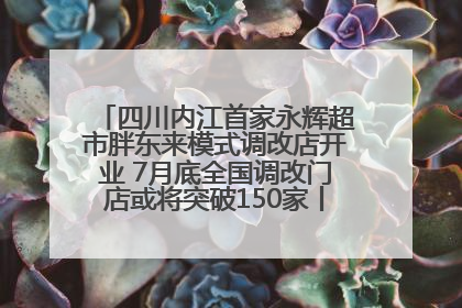 四川内江首家永辉超市胖东来模式调改店开业 7月底全国调改门店或将突破150家丨新经济观察