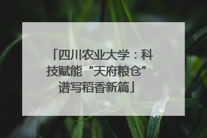 四川农业大学：科技赋能“天府粮仓”谱写稻香新篇