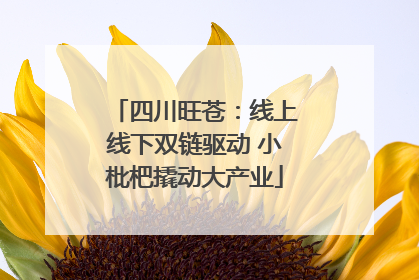 四川旺苍：线上线下双链驱动 小枇杷撬动大产业