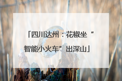 四川达州：花椒坐“智能小火车”出深山