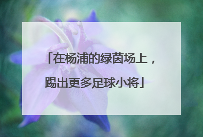 在杨浦的绿茵场上，踢出更多足球小将