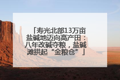 寿光北部13万亩盐碱地迈向高产田：八年改碱夺粮，盐碱滩拱起“金粮仓”