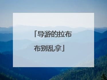 导游的拉布布别乱拿