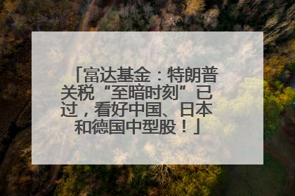 富达基金：特朗普关税“至暗时刻”已过，看好中国、日本和德国中型股！