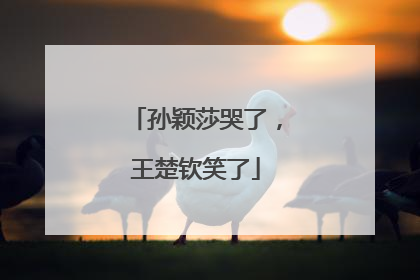 孙颖莎哭了，王楚钦笑了