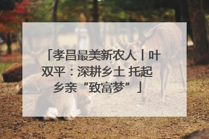 孝昌最美新农人丨叶双平：深耕乡土 托起乡亲“致富梦”