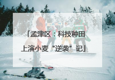 孟津区：科技种田 上演小麦“逆袭”记