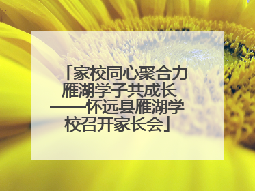 家校同心聚合力 雁湖学子共成长——怀远县雁湖学校召开家长会