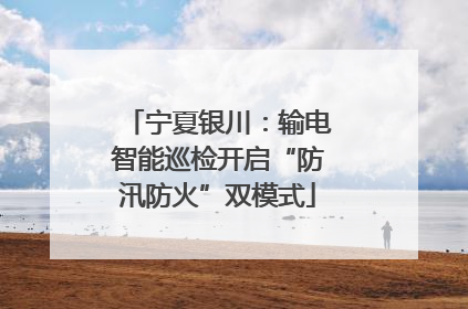 宁夏银川：输电智能巡检开启“防汛防火”双模式