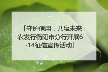 守护信用，共赢未来 农发行衡阳市分行开展6·14征信宣传活动