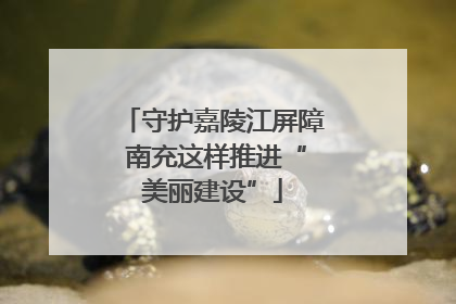 守护嘉陵江屏障 南充这样推进“美丽建设”
