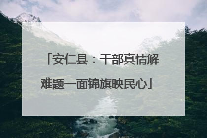 安仁县：干部真情解难题一面锦旗映民心