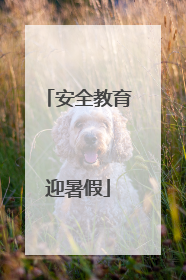 安全教育迎暑假