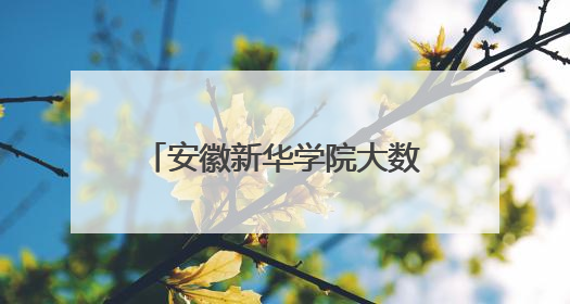 安徽新华学院大数据与人工智能学院走进怀远县淝河镇中黄小学进行“三下乡”支教活动