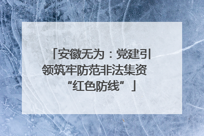 安徽无为：党建引领筑牢防范非法集资“红色防线”