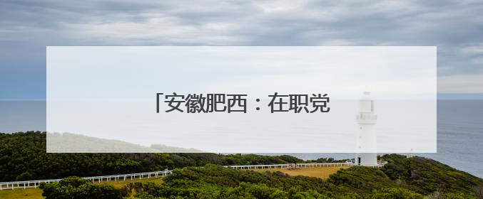 安徽肥西：在职党员为民服务零距离