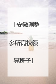 安徽调整多所高校领导班子