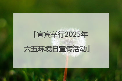 宜宾举行2025年六五环境日宣传活动