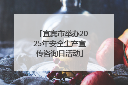 宜宾市举办2025年安全生产宣传咨询日活动