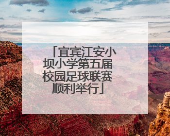 宜宾江安小坝小学第五届校园足球联赛顺利举行