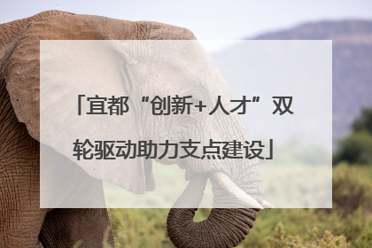 宜都“创新+人才”双轮驱动助力支点建设