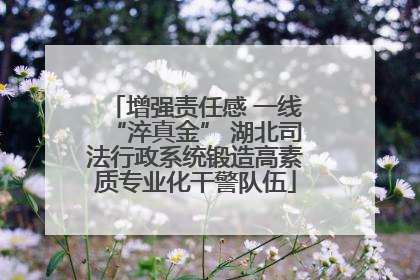 增强责任感 一线“淬真金” 湖北司法行政系统锻造高素质专业化干警队伍