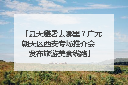 夏天避暑去哪里？广元朝天区西安专场推介会 发布旅游美食线路