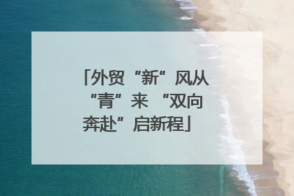 外贸“新”风从“青”来 “双向奔赴”启新程