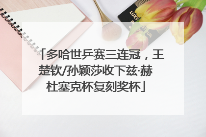 多哈世乒赛三连冠，王楚钦/孙颖莎收下兹·赫杜塞克杯复刻奖杯