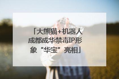 大熊猫+机器人 成都成华禁毒IP形象“华宝”亮相