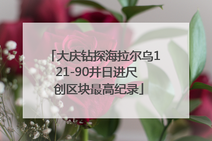 大庆钻探海拉尔乌121-90井日进尺 创区块最高纪录