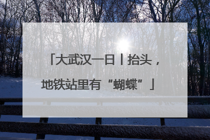 大武汉一日丨抬头，地铁站里有“蝴蝶”