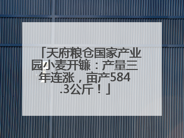 天府粮仓国家产业园小麦开镰：产量三年连涨，亩产584.3公斤！