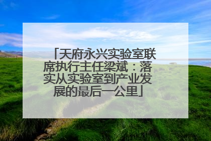 天府永兴实验室联席执行主任梁斌：落实从实验室到产业发展的最后一公里