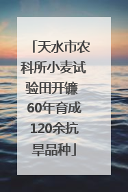 天水市农科所小麦试验田开镰 60年育成120余抗旱品种