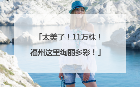 太美了！11万株！福州这里绚丽多彩！