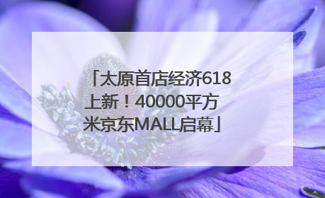 太原首店经济618上新！40000平方米京东MALL启幕
