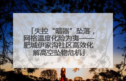 失控“暗器”坠落，网格温度化险为夷——肥城伊家沟社区高效化解高空坠物危机