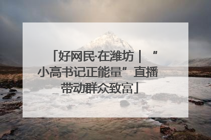 好网民·在潍坊｜“小高书记正能量”直播 带动群众致富