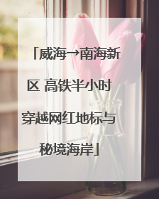 威海→南海新区 高铁半小时穿越网红地标与秘境海岸