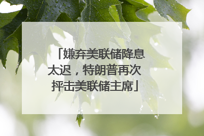 嫌弃美联储降息太迟，特朗普再次抨击美联储主席