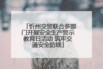 忻州交警联合多部门开展安全生产警示教育日活动 筑牢交通安全防线