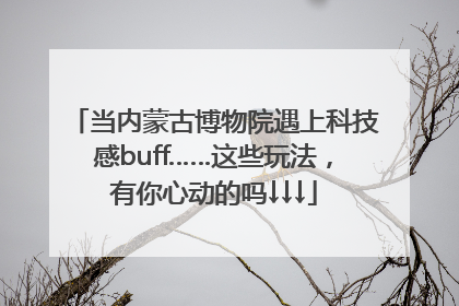 当内蒙古博物院遇上科技感buff……这些玩法，有你心动的吗↓↓↓