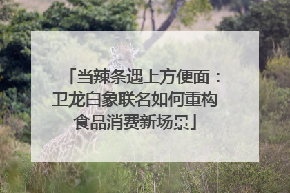 当辣条遇上方便面：卫龙白象联名如何重构食品消费新场景