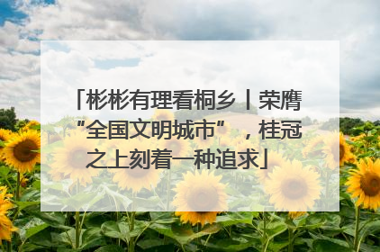 彬彬有理看桐乡丨荣膺“全国文明城市”，桂冠之上刻着一种追求