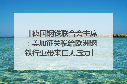 德国钢铁联合会主席：美加征关税给欧洲钢铁行业带来巨大压力