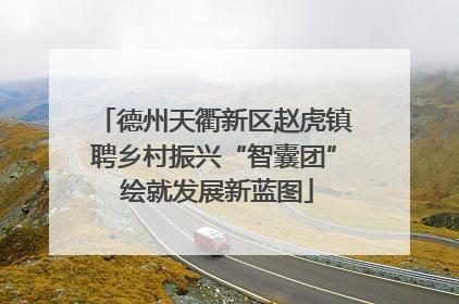 德州天衢新区赵虎镇聘乡村振兴“智囊团” 绘就发展新蓝图